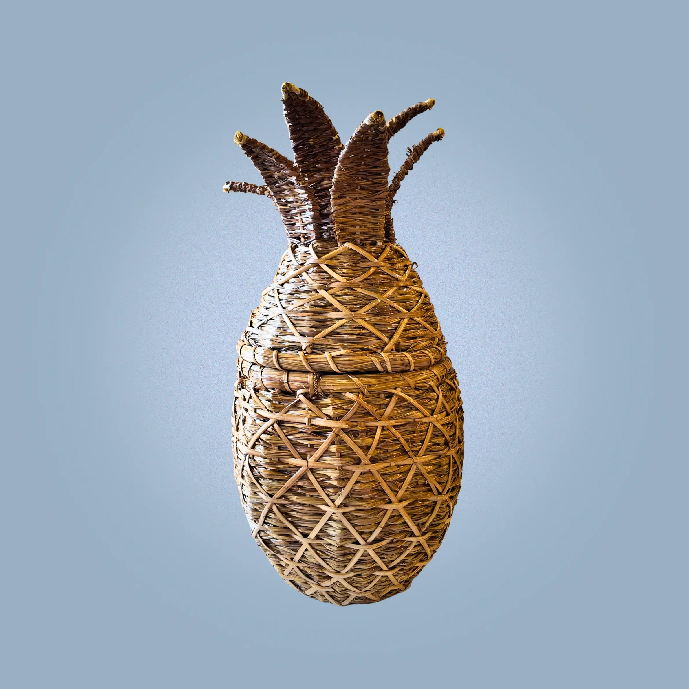 Formosa Decorative Basket by Kapalong